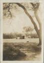 Hut and fence