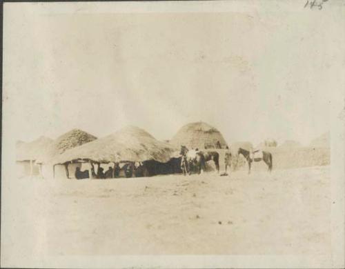 Horses in front of huts