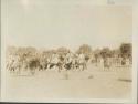 Great assembly for prayer, men on horseback