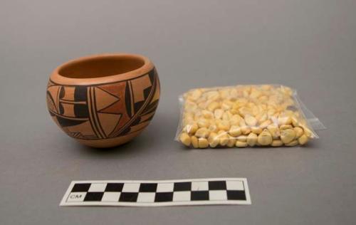 Pot containing corn kernels