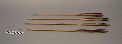 4 Navajo arrows. Metal tips. Feather fletching. Sinew wrapped at top and bottom.