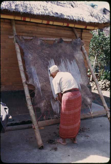 Tanning leather for wayang kulit