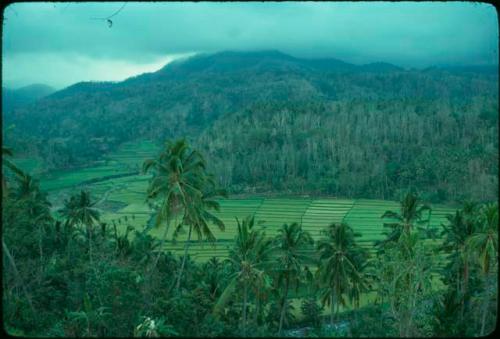 Mountains above fields