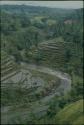 Terraced rice paddies around a river