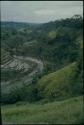 Terraced rice paddies