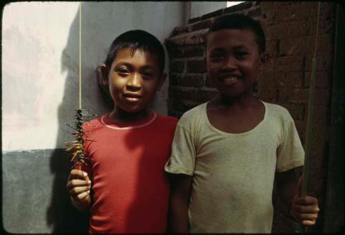 Two children catching dragonflies