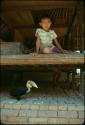 Child and bird inside