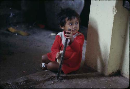 Child grating coconut