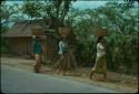 Women carrying baskets on their heads