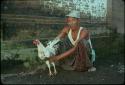 A man and his rooster for cockfighting