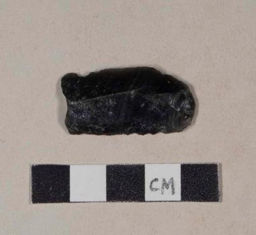 Chipped stone, obsidian blade