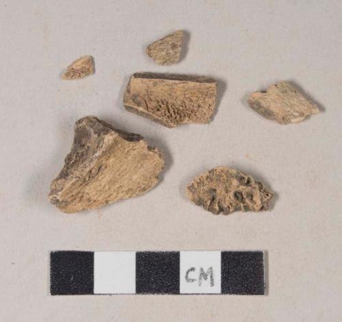 Animal bone fragments, some with butchery marks