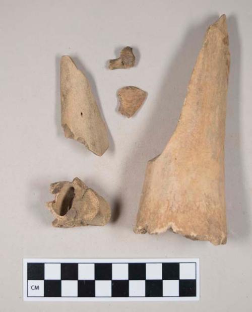 Animal bone fragments, including one vertebra fragment; some with butchery marks