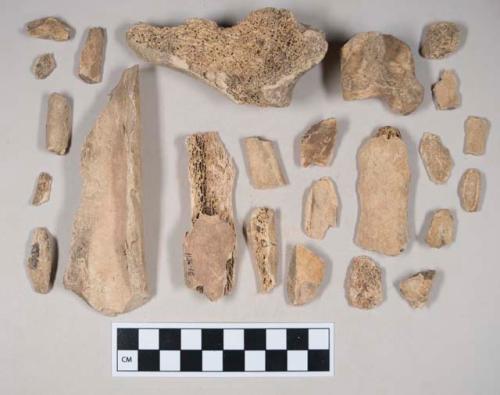 Animal bone fragments, some with butchery marks