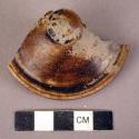 Fragment of brown glazed pottery lid with knob
