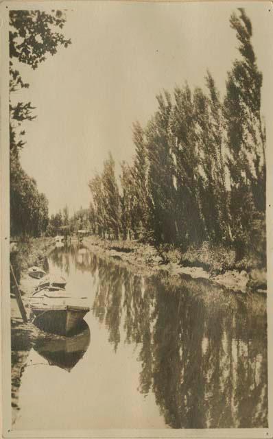 Canal lined with trees