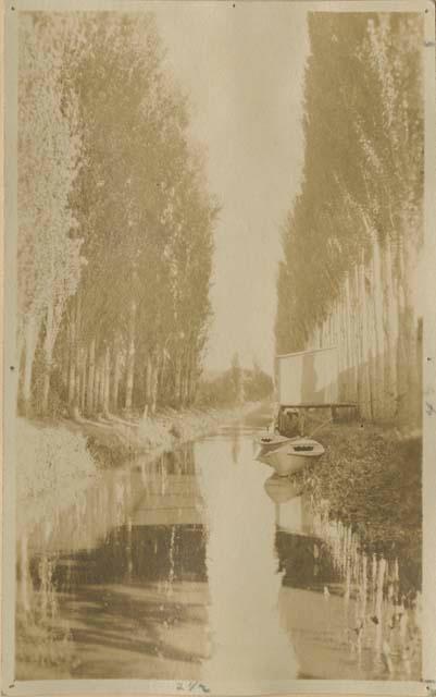 Canal lined with trees