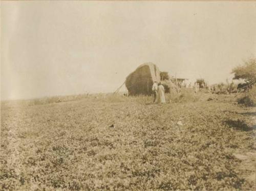 Open field with haystacks