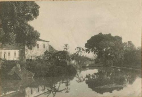 Buildings and trees lining a shore