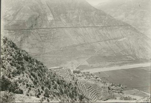 Hillside terraces