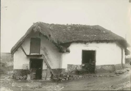 Thatched-roof house