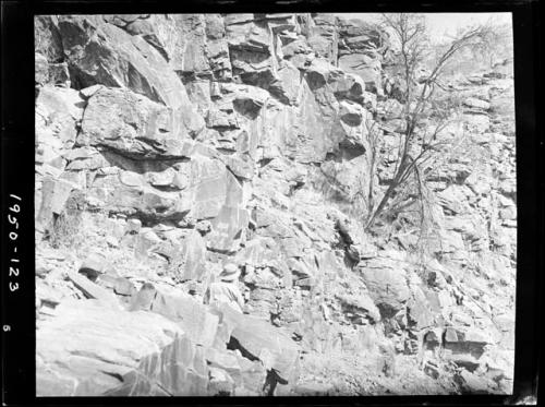 Petroglyphs of three rhinos and a giraffe on a rock wall