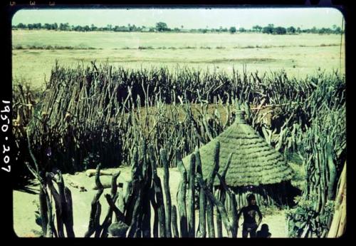 Hut inside a kraal