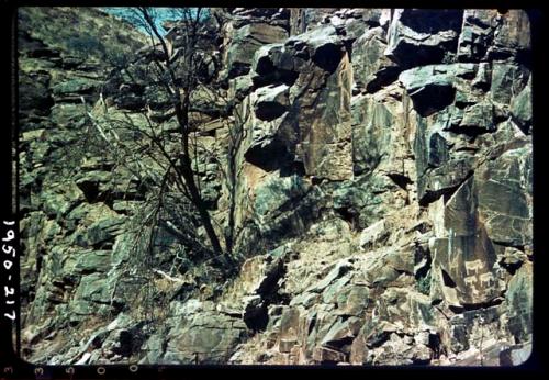 Petroglyphs of three rhinos and a giraffe on canyon wall