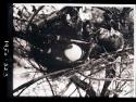 Person's possessions in a tree, including an ostrich eggshell