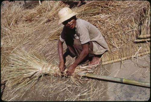 Preparing thatch for roof