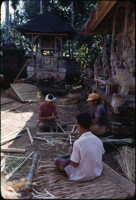 Preparing thatch for roof