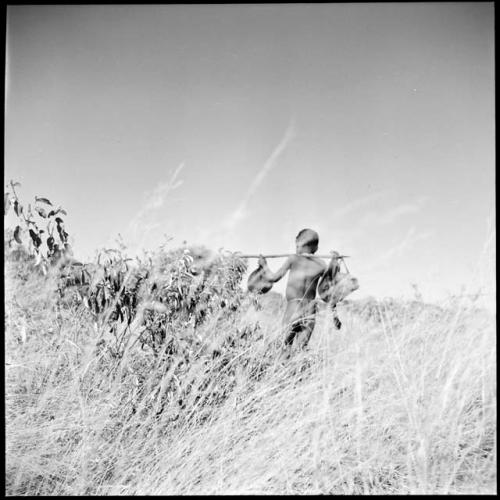 Boy carrying a stomach water bag and another bag on a digging stick