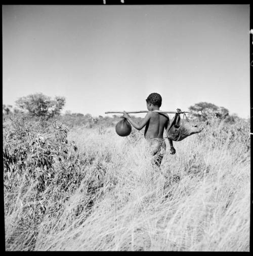 Boy carrying a water bag made from an animal stomach and another bag on a digging stick on his shoulder, view from behind