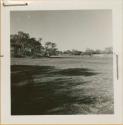 Vley (small pan), with trees in the background