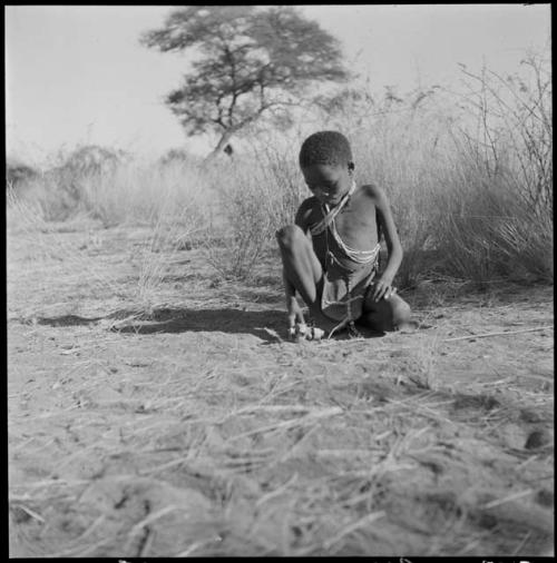 Boy sitting and playing with a toy car made from veldkos