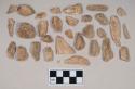 Animal bone fragments, some with butchery marks