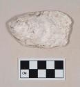 Shell fragment, likely oyster