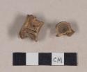 Fish vertebrae fragments