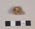 Animal tooth fragment, likely pig