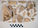 Animal bone fragments, including long bones and ribs; some with butchery marks; likely mostly mammal