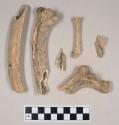 Animal bone fragments, mostly ribs; one possible bird long bone; two fragments crossmend; three fragments crossmend