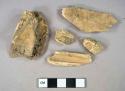 Organic, bone, faunal remains fragments