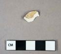 Ceramic, refined earthenware, whiteware rim sherd