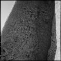 Names carved on the trunk of a baobab tree, close-up