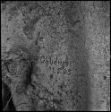 Name carved in the trunk of a baobab tree with date, "R. Goldman 11.5.05", close-up
