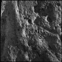 "[F?]R.P. Frenzel 11.5.05" - name carved in the trunk of a baobab tree