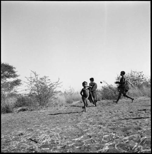 Three boys, including /Gaishay ("Gao Medicine's" son) and "Little ≠Gao" ("/Qui Navel's" son), playing or dancing, tamah n!o’an (ball game)