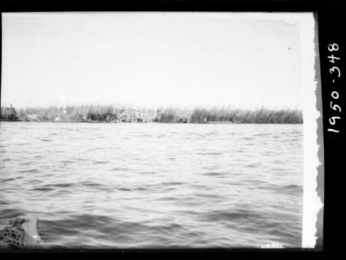 People along the shore of the Okavango River, distant view