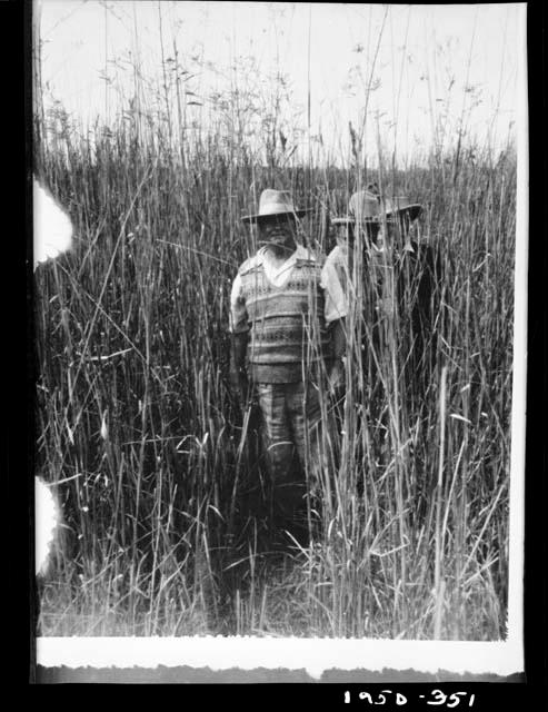 People standing in tall grass in the Okavango delta