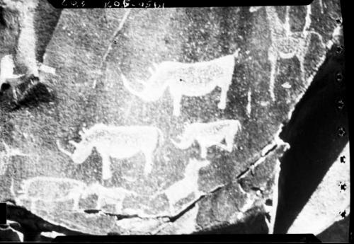 Petroglyphs of animals, including rhinos and a horse